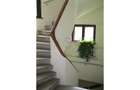 REA0057809 Apartament 4 camere Primaverii - 5