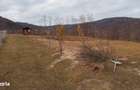 Teren cu suprafa?a de 5100mp amplasat intr-o zona superba de munte - 12