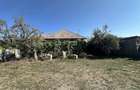 Casă cu 3 camere cu Teren 4300 Mp în Suatu