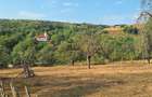 Vand teren intravilan Mustesti (com. Gurahont)