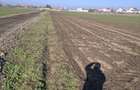 VVand loturi teren n soprafata de 500 mp teren pret 15000 euro - 12