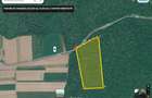 Vand padure 4,33 ha- stejar, Boghicea, jud. Neam?- acces auto - 1
