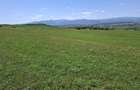 Teren 3.800 mp Dealu Daii (Zona Bungard/Zorabia) Utilitati in vecinatat - 3