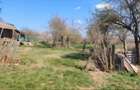 Vand loc de casa (casa)