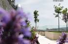 Vand apartament cu 3 camere 115 mp in Seasons! cu cf! - 13