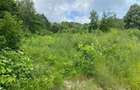 vand teren extravilan 3.67 hectare - 1