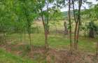 Teren intravilan 756 mp in localitatea Borozel, jud Bihor,, cu schi?a cadastrala ?i utilita?i - 2