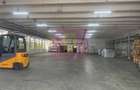 Hale industriale cu parcari multiple Bragadiru Sos Alexandriei stradal - 24