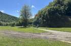 Teren 1,340mp Cuejdiu / Strada Cuejdiului - 3