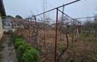 Vand casa in sat Potarnichea - 9