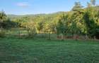 LOCURI de casa intravilane,RUNCU, sat BADENI zona MARGINEANCA - 3