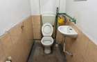 Inchiriere apartament spatios mansarda 5 camere in vila curte Cotroceni metrou - 15