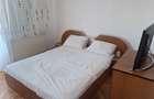 Apartament de inchiriat Aradul Nou 2 camere - 8