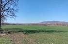 Vand in antregime un teren intravilan in ora?ul Ha?eg cu suprafa?a de 3,3 ha - 4