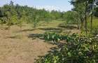 vnd casa la rosu pret 47000 euro - 1