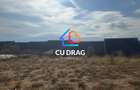 OPORTUNITATE TEREN Bungard INTRAVILAN cu toate utilitatile