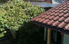 Casa cu teren 1.200 mp, panouri solare 3 kW Soveja, Vrancea