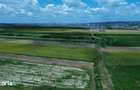 Gaminvest-Teren de vanzare, Rontau, Bihor V3726 - 5