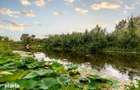 Teren Lacul Snagov 1.976 mp | 19,18 m front la lac | Vila P+1 | 0% com