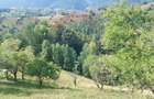 Teren de vânzare | Măgura, Brașov | Oportunitate de Investiție