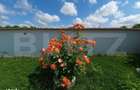 Vila cu 5 camere, 280 mp, livada pe rod, zona Valea Voievozilor - 7