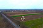 De vanzare Teren Intravilan Mediesu Aurit/Strada Asfaltata 4300MP - 3