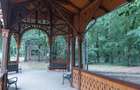 Vand casa Buzias Parc 286 mp - 1