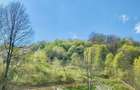 Teren vedere panoramica lac Paltinu si dealuri impadurite in Valea Dof - 2