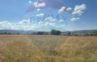 Teren 7,200mp Sighetu Marmatiei / Strada Doboies