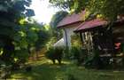 Casă cu 7 camere cu Teren 300 Mp în Lepșa - 4
