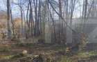 Teren de vânzare, 3.463 mp, priveliște deosebită, zonă montană Runcu