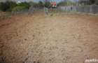 Teren 2078 mp intravilan Slatina Milcov Deal, Strada Livezi - 2