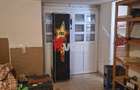 SPATIU COMERCIAL STRADAL-110 MP-ELISABETIN - 9
