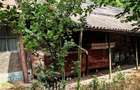 Teren cu casa taraneasca langa Ploie?ti - 3