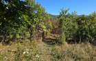 Teren extravilan de 10.452 mp de vanzare in Lunca Mare