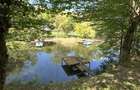 Cabana/Casuta din lemn Lac mujdeni cu ponton privat pe lac - 3