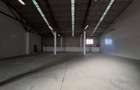 Hale renovate Calea Baciului / 2 x 530 mp / 3 x 400 mp - 5