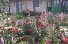 Casa de vanzare la Revarsarea, jud. Tulcea - 2
