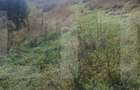 Teren intravilan de vanzare, 1.573 mp, zona Stauceni - 2
