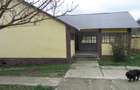 Gospodarie-4 cladiri-teren 2900mp-zona Vetel - 1