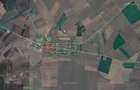 Teren Intraviland 2000mp SAT POIANA, STRADA ALBATROS