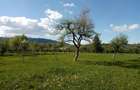 Teren intravilan la munte, in Nereju, Vrancea - 6