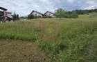 Teren de vanzare in Campina, Muscel - 5