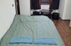 Lupeni - Straja HD - Inchiriez garsoniera t.lung sau in regim hotelier - 5