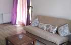 Apartament cu 2 camere decomandat în Roșu - 4