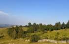 Teren intravilan talea /breaza - view superb - 2