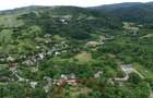 Teren intravilan 3.700 mp - 23 m deschidere Magura, Bacau - 6