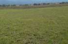 Teren de 27000 mp, în Drăguș - 1