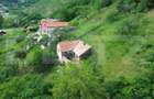 Casa tradi?ionala - o investi?ie cu poten?ial de dezvoltare, Capalna, Sasciori - 4