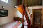 Casa, Bistri?a, 1000 mp teren. Pre? 590 eur/ luna - 2